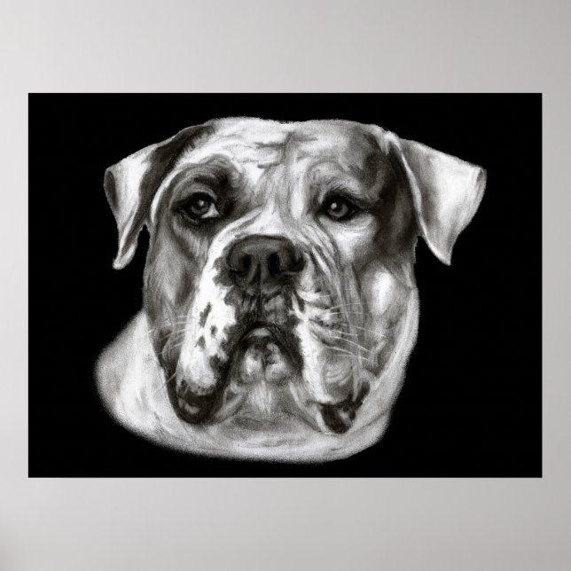 Bulldog-målning Poster (Framsidan)