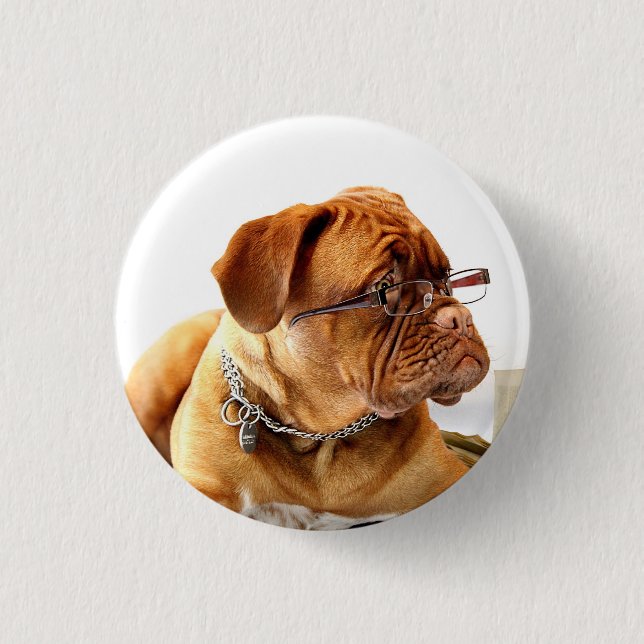 Bulldog med glasögon - Knapp (Framsida)