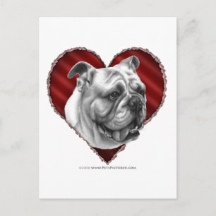 Bulldog med Heart Vykort
