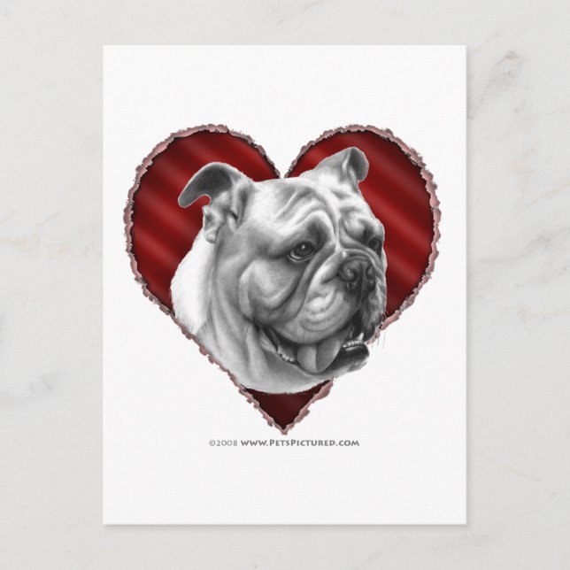 Bulldog med Heart Vykort (Framsida)