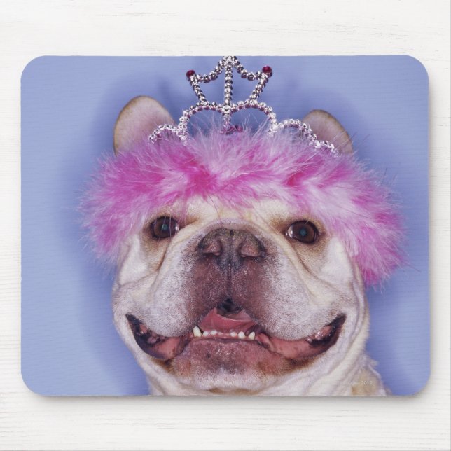 Bulldog med tiara musmatta (Framsidan)