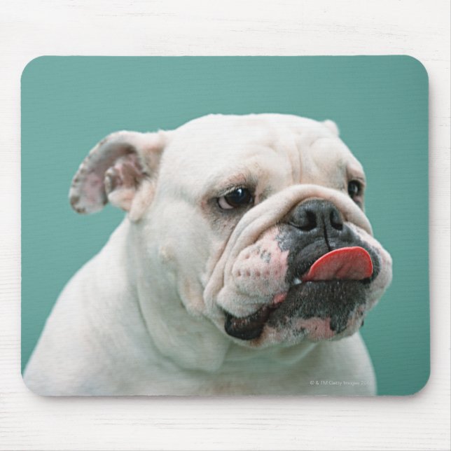 Bulldog Musmatta (Framsidan)