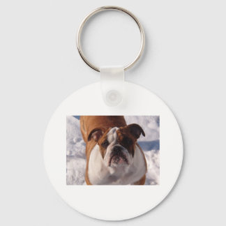 Bulldog-nyckelkedja Nyckelring