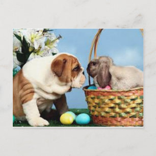 Bulldog och kanin vykort