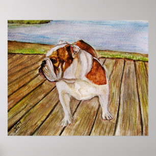 Bulldog på bardpromenaden poster