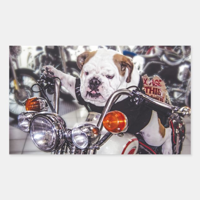 Bulldog på motorcykel rektangulärt klistermärke (Framsida)