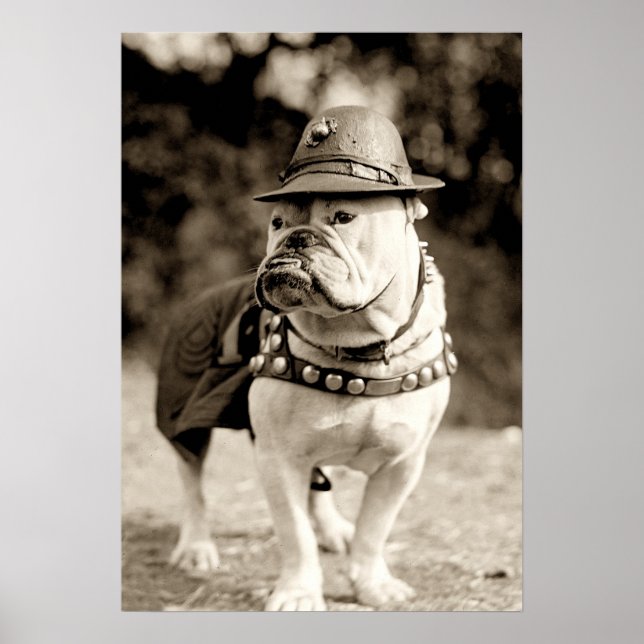 Bulldog på patruller med hatt och liggande poster (Framsidan)