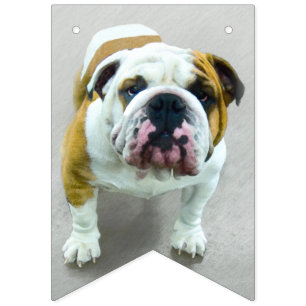 Bulldog Painting - Cute Original Hund Art Vimplar