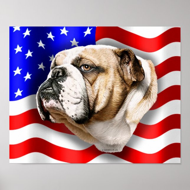 Bulldog Patriot US Flagga Poster (Framsidan)
