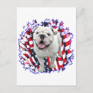 Bulldog Patriot Vykort