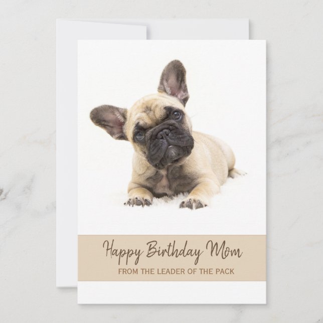 Bulldog Photo grattis på födelsedagen Mamma Fransk Julkort (Framsida)