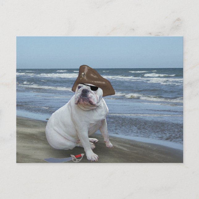 Bulldog Pirat på stranden Vykort (Framsida)