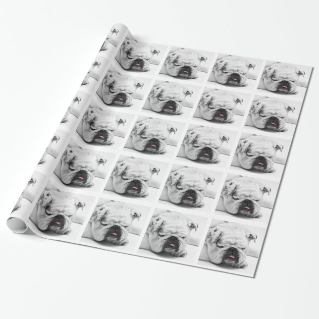Bulldog Presentpapper (Utrullad)