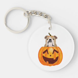 Bulldog Pumpkin