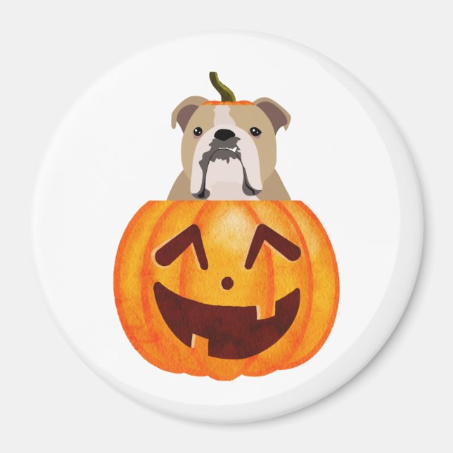 Bulldog Pumpkin Magnet (Framsidan)