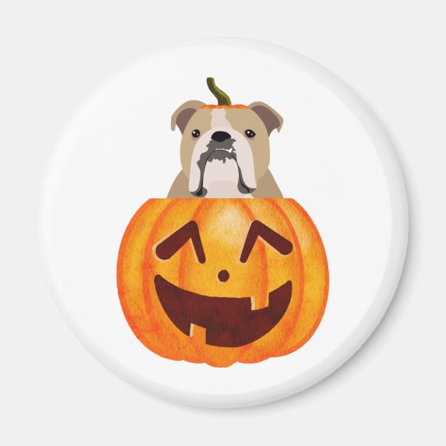 Bulldog Pumpkin Magnet (Framsidan)