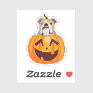 Bulldog Pumpkin Sticker Klistermärken