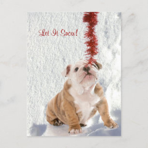 Bulldog Puppy Låt det snöa #2 Julhälsningar Helg Vykort