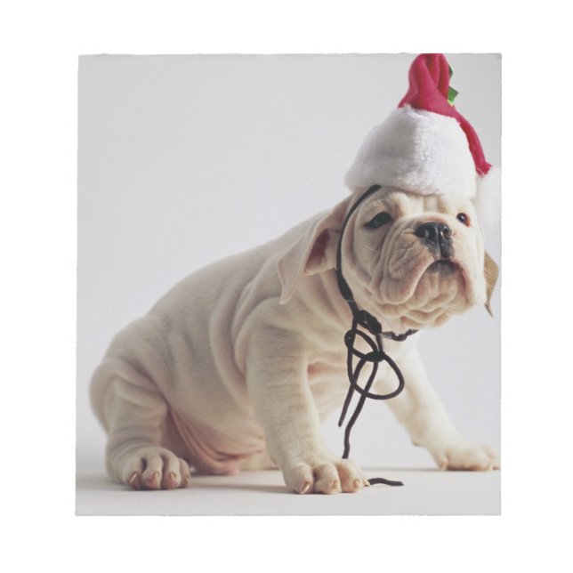 Bulldog Puppy Wearing Santa Hat Anteckningsblock (Framsida)