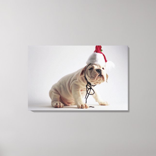 Bulldog Puppy Wearing Santa Hat Canvastryck (Framsida)