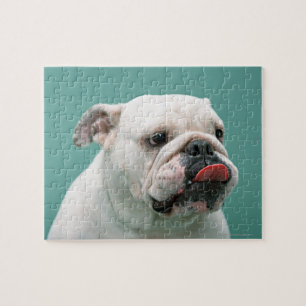 Bulldog Pussel