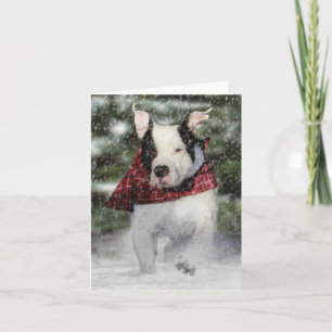 Bulldog Rädding Valp Dash genom Snö Helgkort
