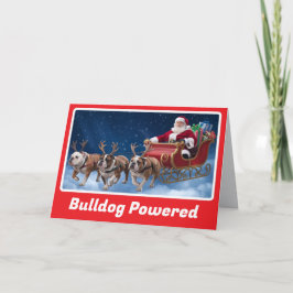 Bulldog Reindeer Kort