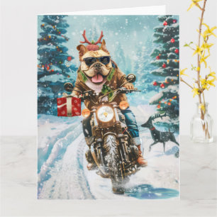 Bulldog Riding Motorcycle jul jul Kort