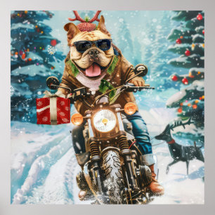 Bulldog Riding Motorcycle jul jul Poster