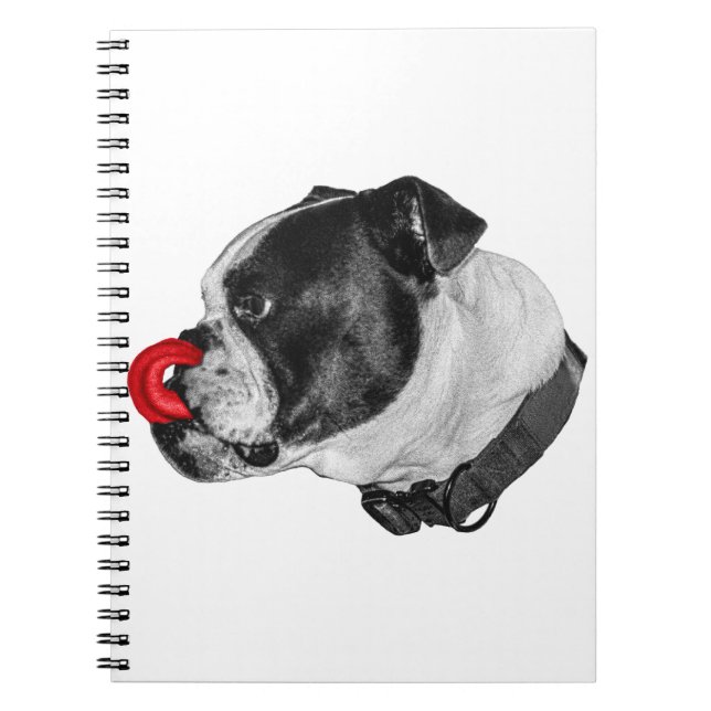 Bulldog Röda Accent Noteringar Anteckningsbok (Framsidan)