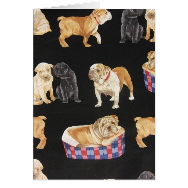 Bulldog & Shar Peis Hälsningskort (Framsidan)