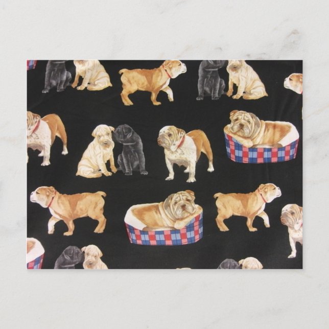 Bulldog & Shar Peis Vykort (Framsida)