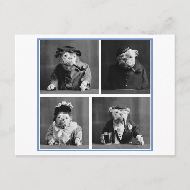 Bulldog som Humans Vintage Odness Vykort (Framsida)