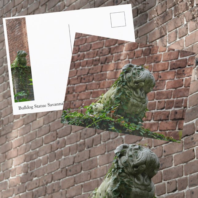 Bulldog Staty Savannah Georgia Fotografisk Vykort (Skapare uppladdad)