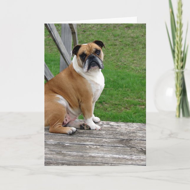Bulldog, tänker på dig kort (Framsida)