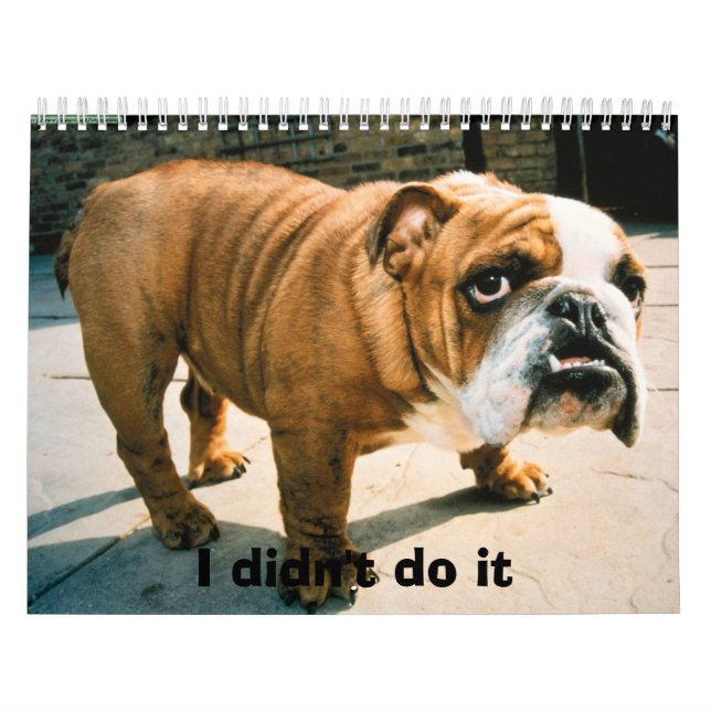 BullDog-Valper Kalender (Omslag)