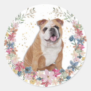 Bulldog Vår blommor Wandeand Runt Klistermärke