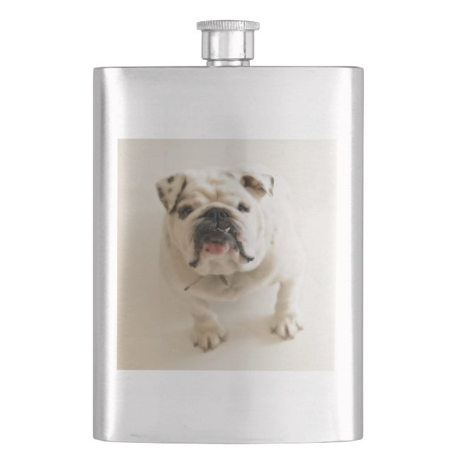 bulldog vit fickplunta (Framsidan)