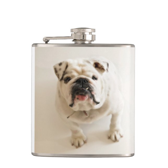 bulldog vit fickplunta (Framsidan)