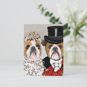 Bulldog vykort