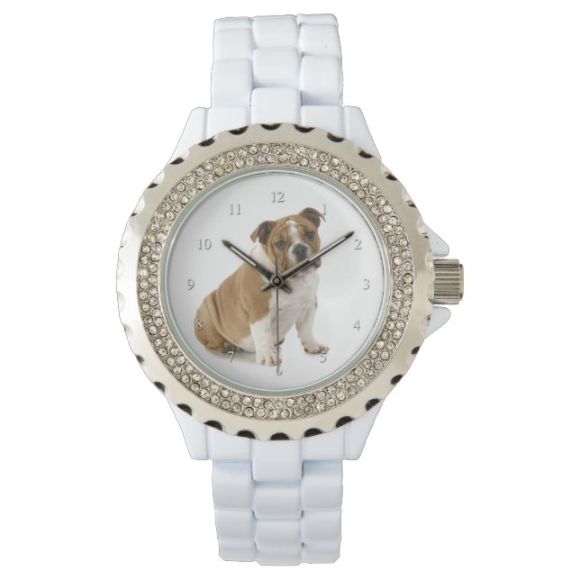 Bulldog Watch Armbandsur (Framsida)