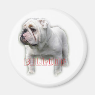 Bulldoggブルドッグ Magnet