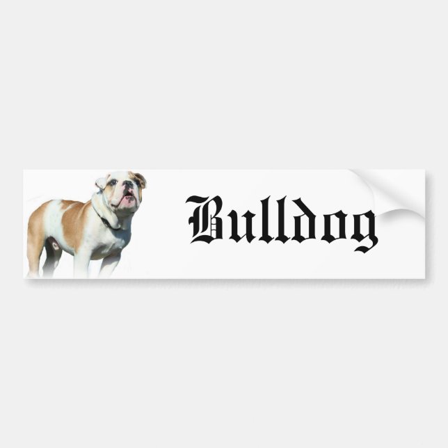 bulldogg bildekal (Framsidan)