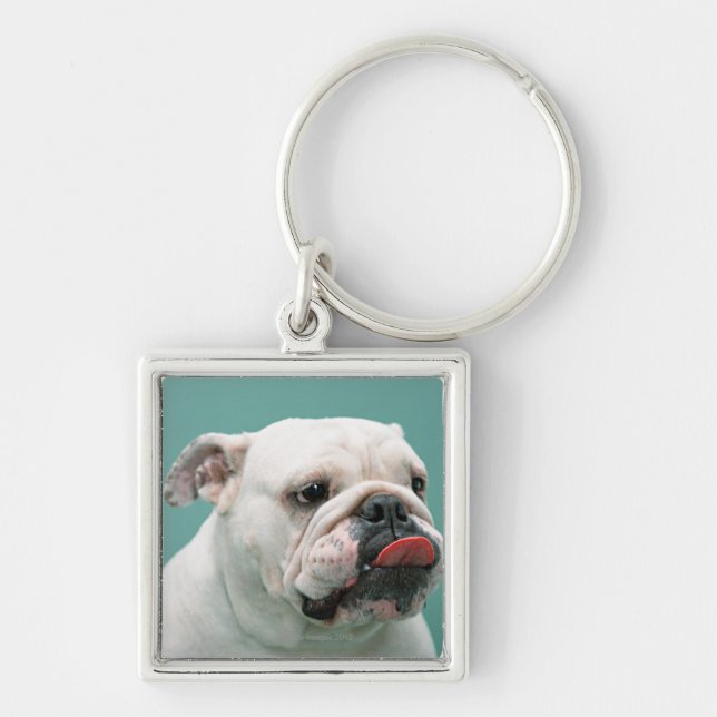 Bulldogg Fyrkantig Silverfärgad Nyckelring (Framsidan)