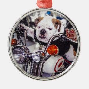 Bulldogg på motorcykeln julgransprydnad metall