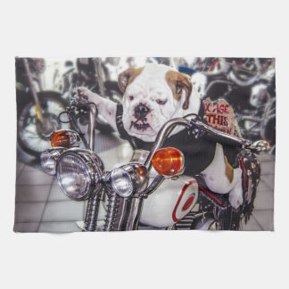 Bulldogg på motorcykeln kökshandduk