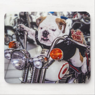 Bulldogg på motorcykeln musmatta