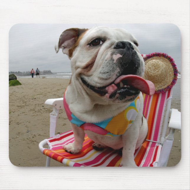 Bulldogg på stranden musmatta (Framsidan)