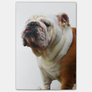 Bulldogg Post-it Block