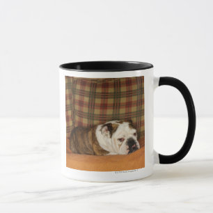 bulldogg som ljuger på en soffa mugg